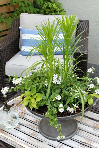 Outdoor Summer Planter Centerpiece Clean And Scentsible