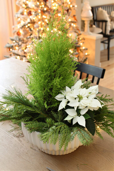 Fresh Greenery Christmas Centerpiece Clean And Scentsible