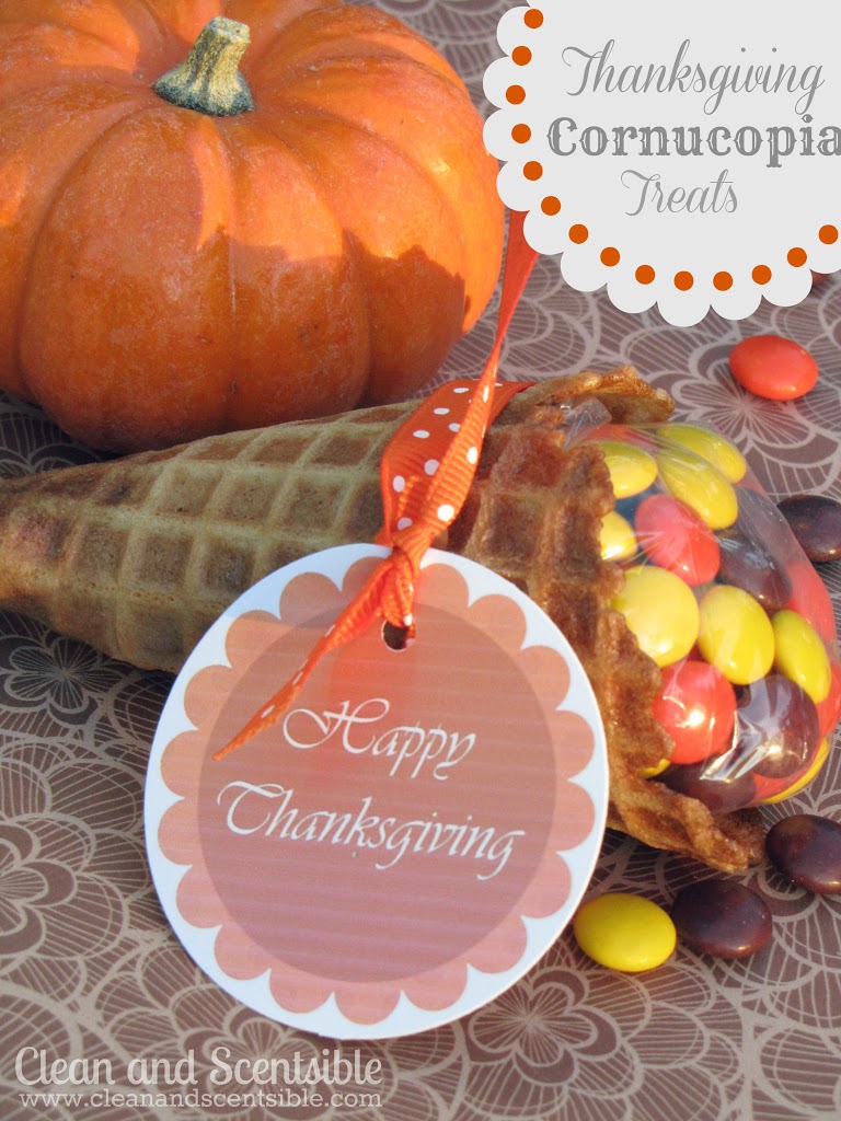 Cornucopia Thanksgiving Treats for Kids - Clean and Scentsible