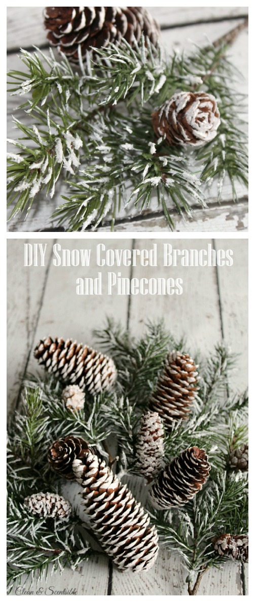 3-Minute DIY Snow Covered Pine Cones & Branches {3 Ways!} - A Piece Of  Rainbow