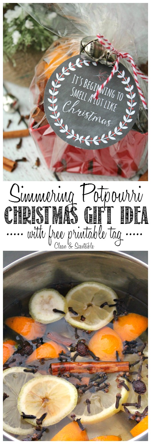 Simmering Potpourri Recipe Gift