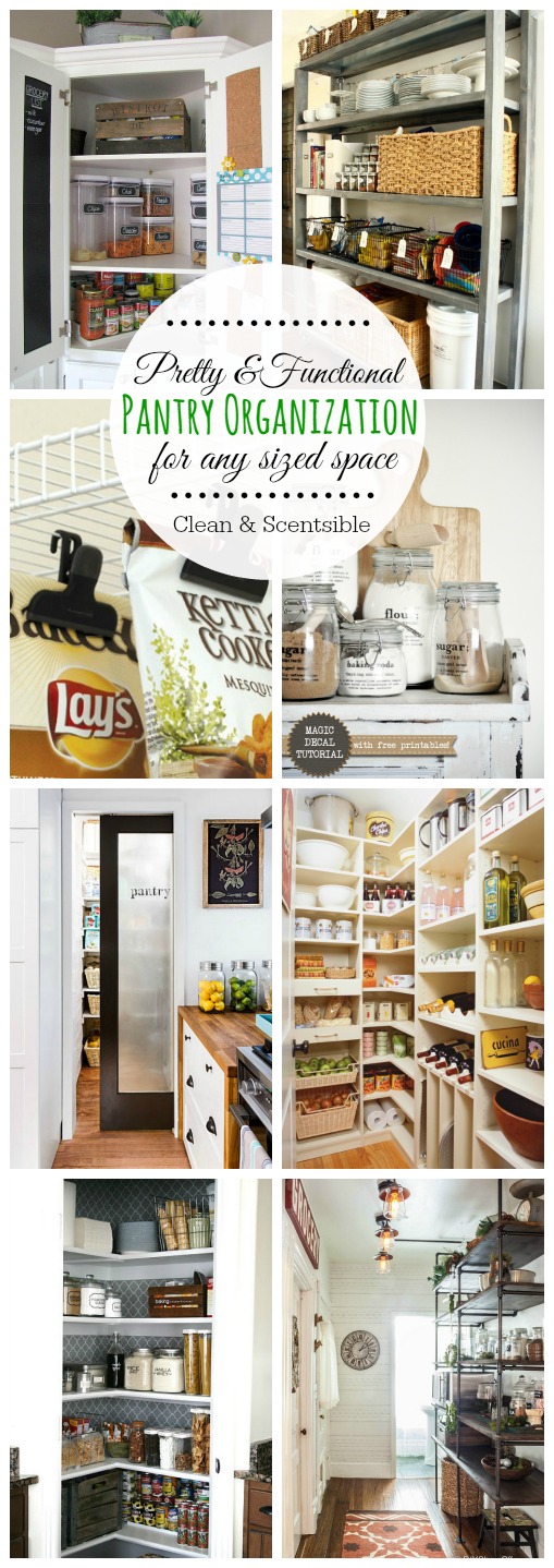 Our Small Space Pantry Organization Tips - Their Wild Life ©