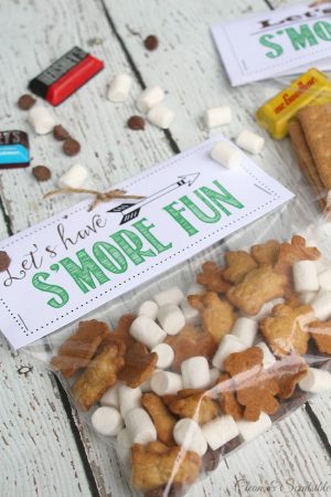 Outdoor Scavenger Hunt and S'mores Printables - Clean and Scentsible