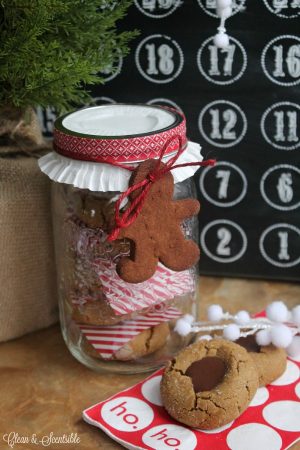 Christmas Cinnamon Ornaments - Clean and Scentsible