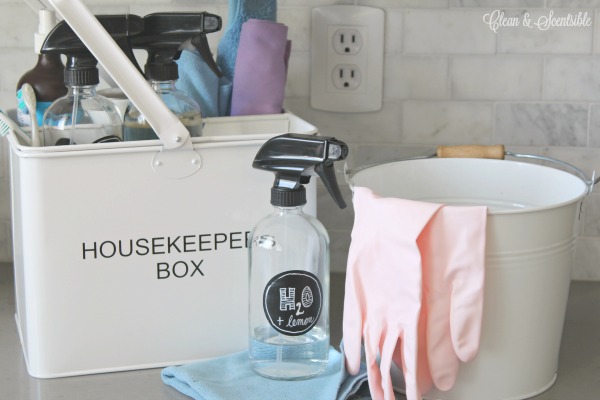 https://www.cleanandscentsible.com/wp-content/uploads/2016/04/Portable-Home-Cleaning-Kit-Essentials-71.jpg