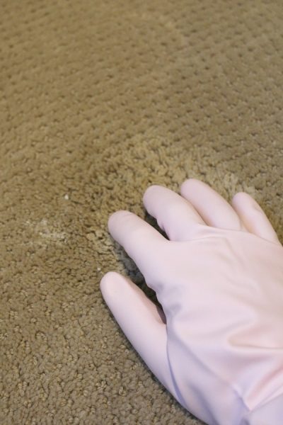 how-to-remove-pet-stains-from-carpet-clean-and-scentsible