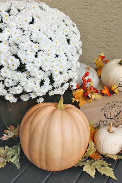 Fall Front Porch - Clean and Scentsible