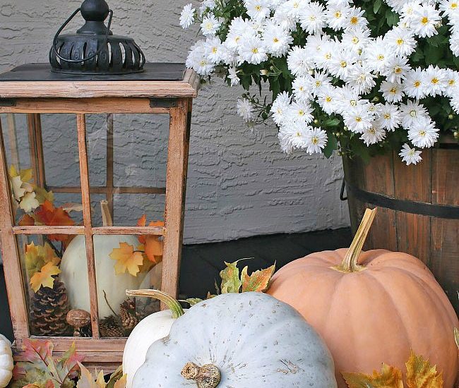 Beautiful fall porch decorating ideas using natural elements. Love all of the pumpkins!