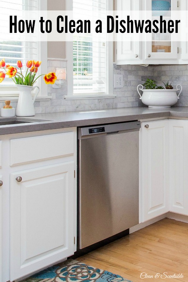 White kitchen with stainless steel dishwasher.