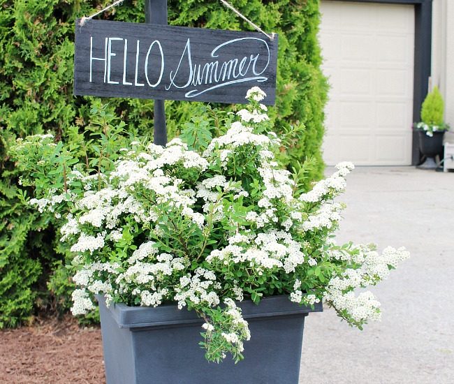 Outdoor planter with wooden holder and outdoor sign. "Hello Summer"