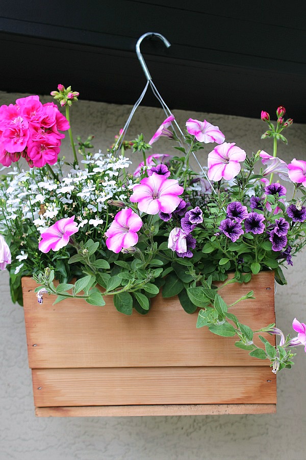 How To Care For Hanging Baskets And Planters Clean And Scentsible
