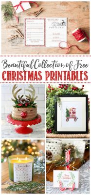 Christmas Printables - Free Printable Christmas Place Cards - Clean and ...