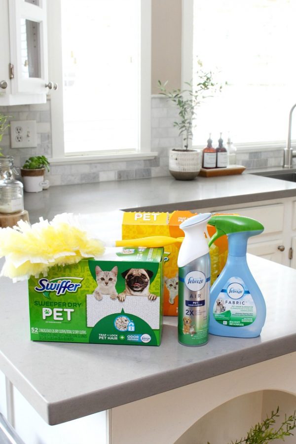 How to Get Rid of Pet Odors Clean and Scentsible