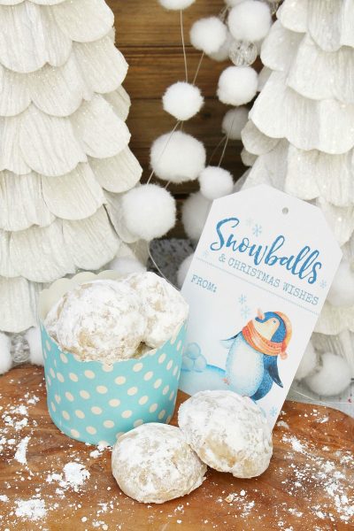 Snowball Cookies In A Jar Clean And Scentsible 0687