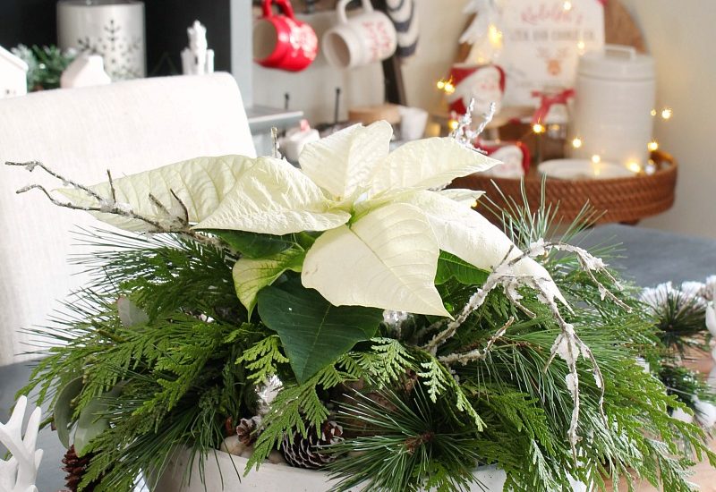 Simple DIY Christmas centerpiece idea with a poinsettia and fresh greenery.