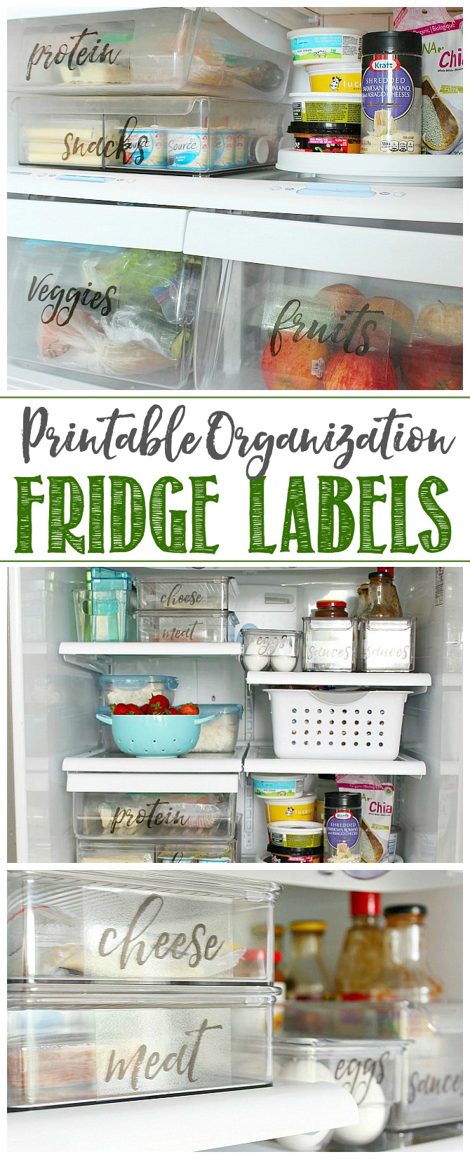 Free Printable Freezer Labels 