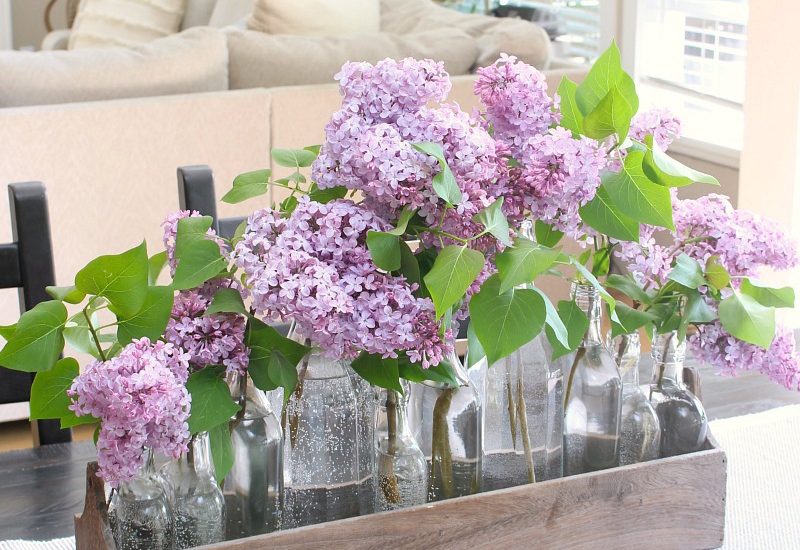 Lilacs used in a pretty centerpiece on a kitchen table.