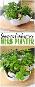 Herb Planter Centerpiece - Clean and Scentsible