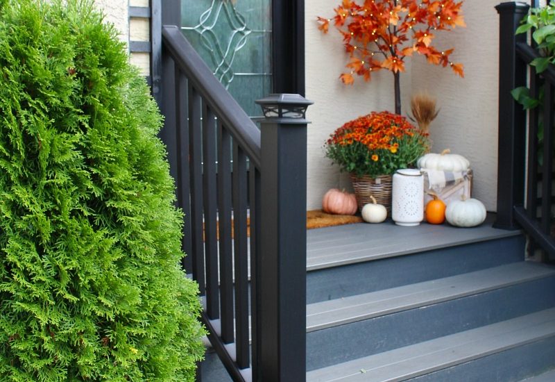 Colorful front porch with lighted maple trees and orange mums.