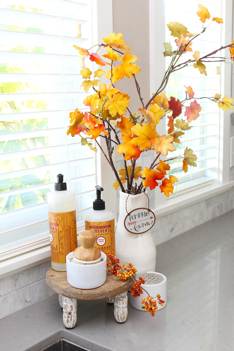 https://www.cleanandscentsible.com/wp-content/uploads/2020/09/fall-kitchen-decor-5-Clean-and-Scentsible.jpg