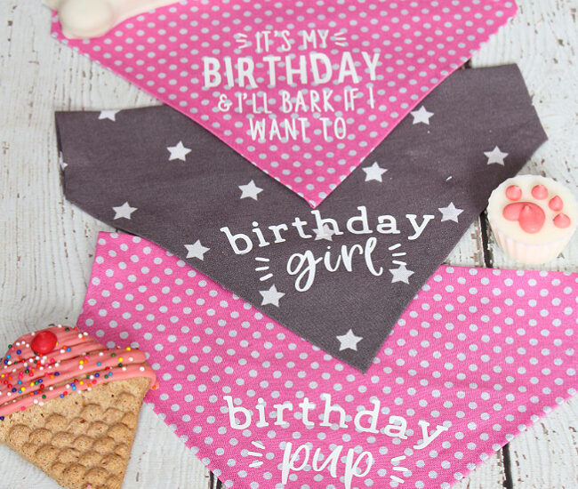 Pink and grey DIY pet bandanas with birthday greetings.